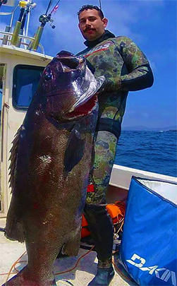 Baja Fishing - Black Sea Bass