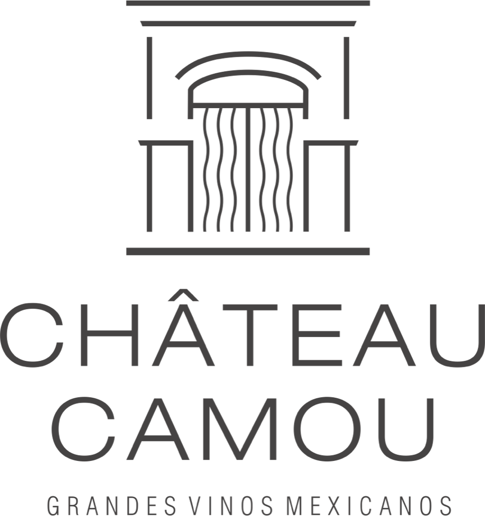 Chateau Camou
