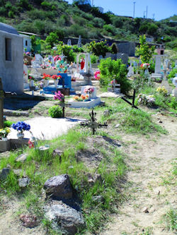 Day of the Dead Mulege
