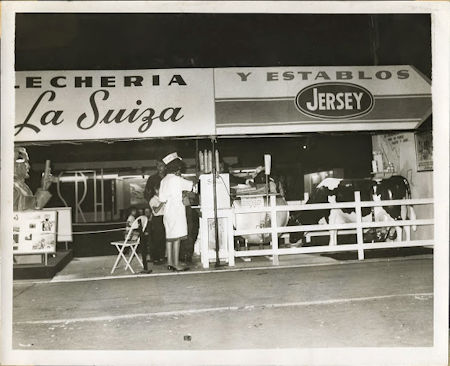 Original Jersey Dairy Baja