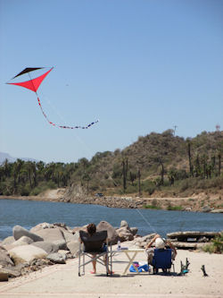 Kite Flying Baja