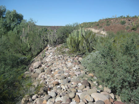 La Muralla San Ignacio Baja