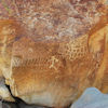 Petroglyph Baja