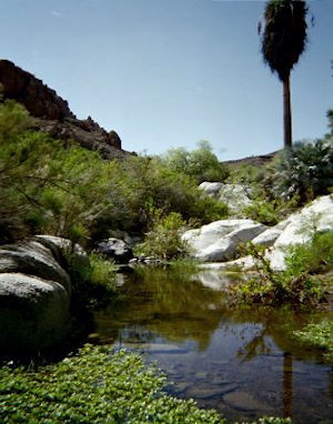 San Felipe Parral Canyon