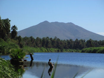 San Ignacio Baja Oasis