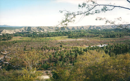 Santiago Valley Baja Sur