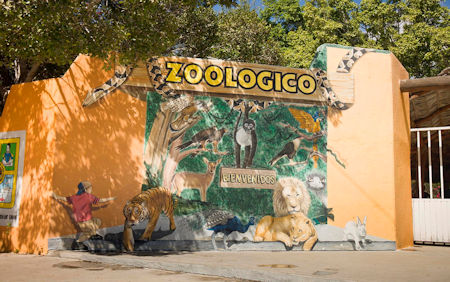 Zoo Santiago Baja Sur