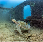 Baja Sur Worlds Aquarium