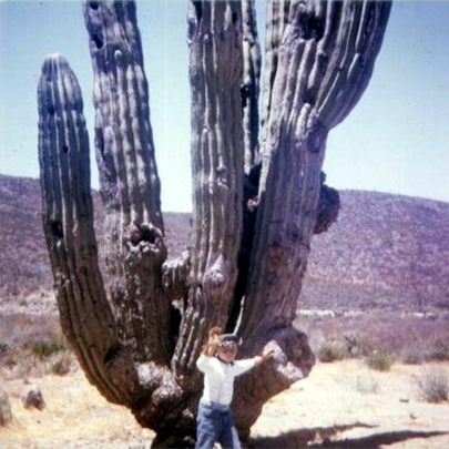 David Kier And Cactus