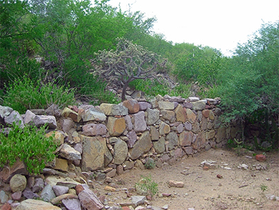 Mission Guadalupe wall