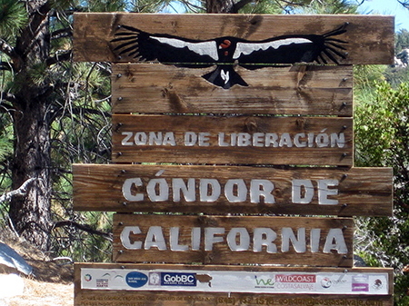 San Pedro Martir condor sign