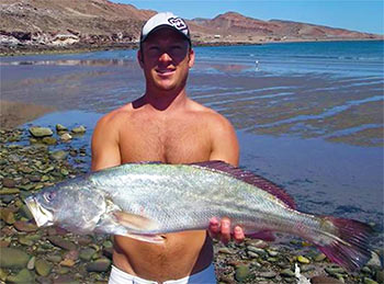 Baja Fishing - Orangemouth Corvina