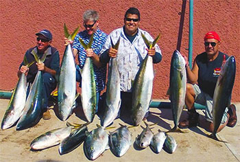 Baja Fishing - Prieto Yellowtails