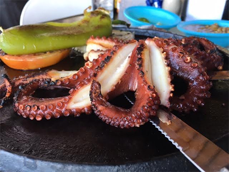 San Carlos octopus