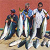 Baja Fishing Report - Summer 2014