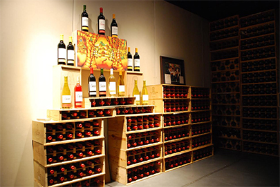 Monte Xanic wine display